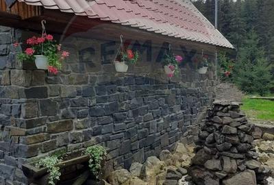 Hotel / pensiune 20 camere de vanzare in statiunea Izvoare Maramures - 10