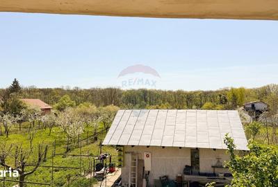 Casă cu 7 camere cu Teren 1592 Mp în Periș - 4