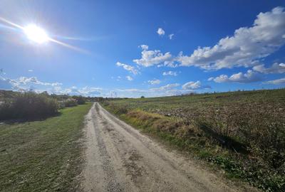 Teren intravilan Balotesti / 5.000 mp / D: 18 m / langa lac / comision 0% Teren intravilan Balotesti / 5.000 mp / D: 18 m / langa lac / comision 0% - 6