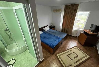 Casă cu 9 camere cu Teren 2035 Mp în Maliuc - 10