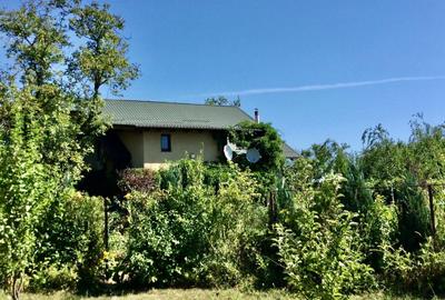 Vila de poveste 5 camere zona Bolintin Vale, judetul Giurgiu - 3