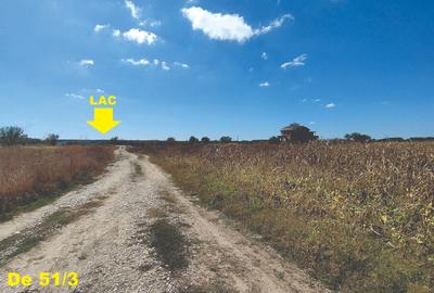 Vanzare teren 4400 mp Snagov - Gruiu, cu deschidere la lacul Snagov - 2
