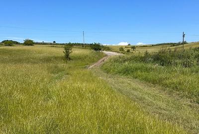 Teren de 54500 mp, în Jibert - 3