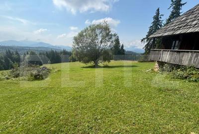 Vanzare teren intravilan de 2 hectare, in Pasul Tihu?a - 2