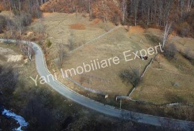 Teren de vanzare in comuna Cicane?ti, Jude? Arge?. - 9