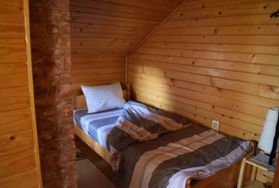 Cabana de vanzare , 320 mp utili, zona Belis - 3