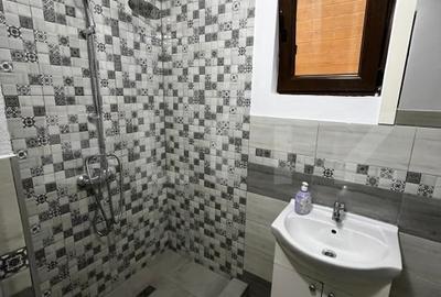Cabana complet echipata in Baile Figa - 5 dormitoare, 2 bai, aer conditionat - 9