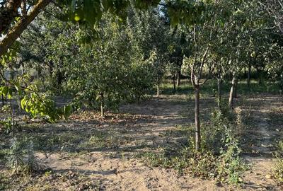 Casă cu 5 camere în Crai Nou - 1