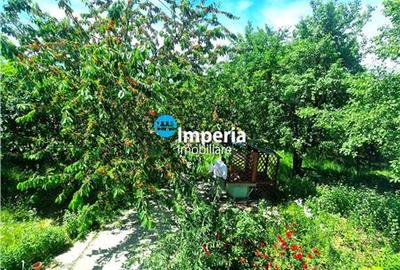 Casă cu 3 camere cu Teren 800 Mp în Curături - 13