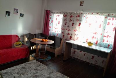 Apartament cu 2 camere semidecomandat, mobilat în Tomești - 2