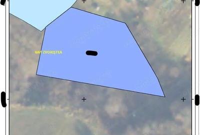 Teren Poiana Zvoristea cota parte 1/2, ID: R2850731 - 11