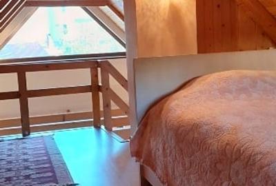 Vilă unică în Centrul Sucevei - 11