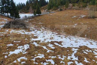 Teren în Fundata - 1