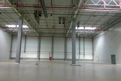 Depozitare logistica hala industriala arhiva farmaceutic anvelope autorizat PSI - 10