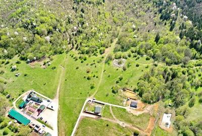 Teren Intravilan parcele 1000mp - 19