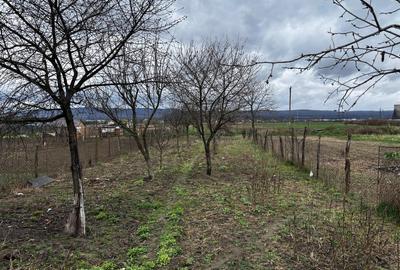 Teren intravilan de 770 mp, în Copăcelu - 7