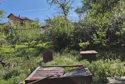 Casă cu 4 camere în Radu Negru - 4