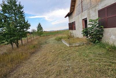 Casă cu 4 camere cu Teren 2000 Mp în Costișa - 4