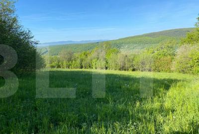 Teren de 7300 mp, în Central - 4