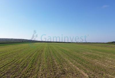 Gaminvest Teren intravilan de vanzare, 66400 mp, langa Oradea, Bihor ,V4117 - 8