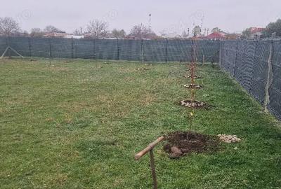 Casă în Păunești - 2