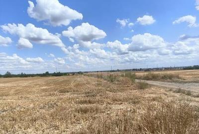 TEREN COCOSESESTI//INTRAVILAN - 8