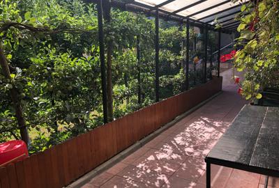 Vila pretabila Locuit/Afacere, S+P+1E+M, 450 mp, teren 800 mp - 52