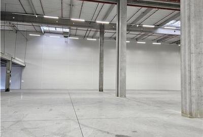 Spatiu Industrial - 7500 mp - Logistica - Productie - Depozitare - Distributie - 2
