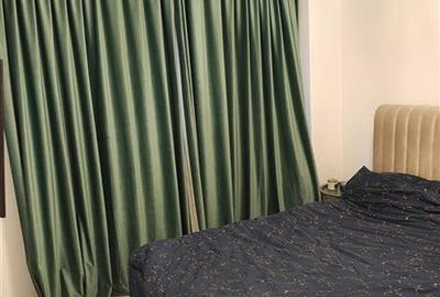 Apartament 2 camere mobilat si utilat Str. Pepinierei - 11