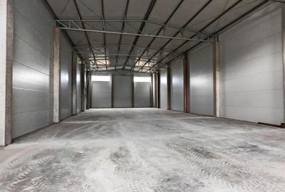 Spatiu depozitare/productie 500 mp, zona Sud - 6