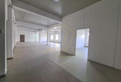 Spațiu comercial, de 663 mp, în Mehala - 4