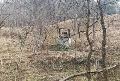 Casă cu 4 camere în Răchitova - 5