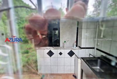 AZURA Imobiliare - Casa cu Teren Budeasa Galasesti - 20