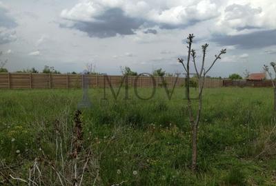 Teren pe malul Lacului Buftea - Crevedia - 13