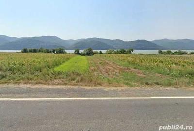 Teren de 800 mp, în Gornea - 3