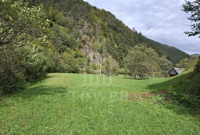 Teren Intravilan de Vanzare 3622 mp Rau Sadului - 10