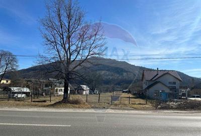 Teren de 3606 mp, în Pângărați - 4