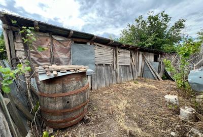 Casa + teren 4430 mp, vie si pomi fructiferi, 22 km de Tecuci - 34