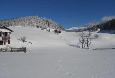 Teren de 5200 mp, în Fundata - 3