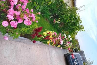 Casă cu 3 camere cu Teren 508 Mp în Popești - 2