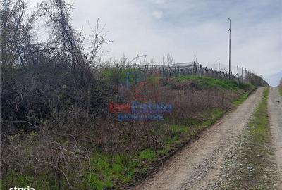 Teren de 1122 mp, în Frumoasa - 9