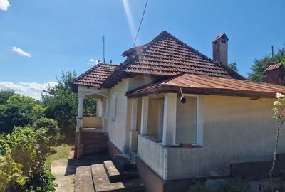 Casa in mediu rural cu teren - 4