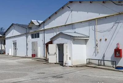 Apartament în Central - 12