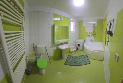 2 camere, in vila, la curte comuna, centrala, pet friendly, Gorjului 2 camere, in vila, la curte comuna, centrala, pet friendly, Gorjului - 13