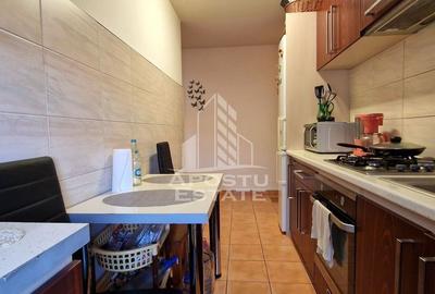 Apartament cu 2 camere, decomandat, centrala proprie, zona Girocului - 4