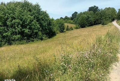 Teren de 2500 mp, în Central - 1