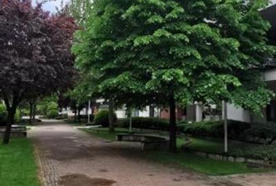 Apartament cu 4 camere în Dorobanți - 1