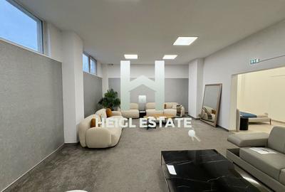 Spațiu comercial, de 470 mp, în Șagului - 8