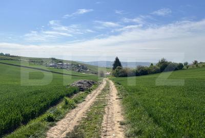 Teren de 15900 mp, în Sâncraiu de Mureș