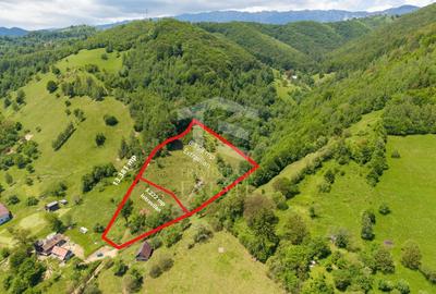 Teren Construcții intravilan de 11381 mp, în Moieciu - 2
